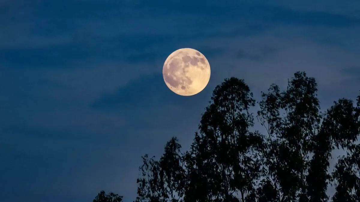 Luna Piena di Novembre 2025: Significato e Tradizioni