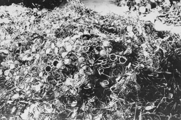 La Significativa Storia di Auschwitz image 1