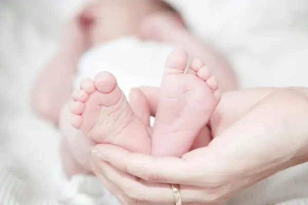 Bonus Mamme Lavoratrici 2026: Supporto per le Famiglie