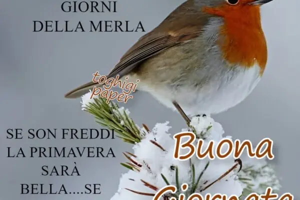 Buongiorno 29 gennaio 2026: Notizie e Previsioni