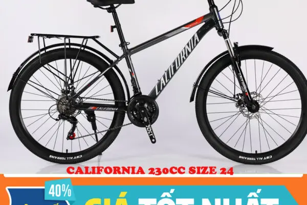 Esplorando la California: Cultura e Innovazione