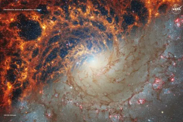 Il Ruolo Cruciale della NASA nella Scienza e Tecnologia image 1