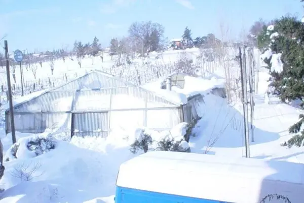Neve in Pianura: Un Evento Straordinario nel 2023