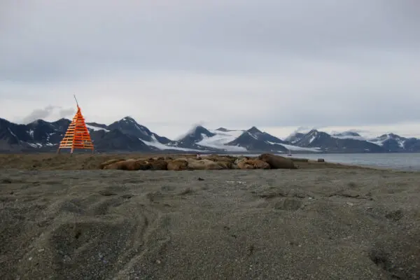 Svalbard: Un arcipelago affascinante e le sue sfide ambientali