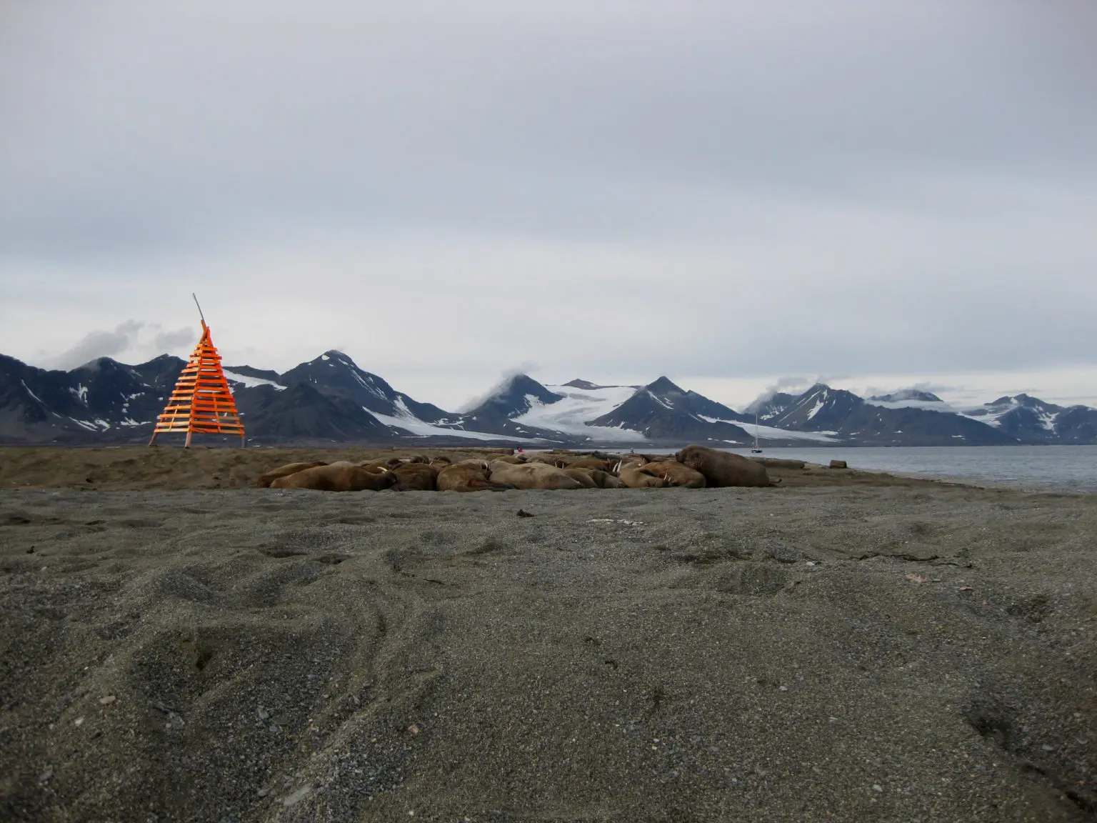 Svalbard: Un arcipelago affascinante e le sue sfide ambientali