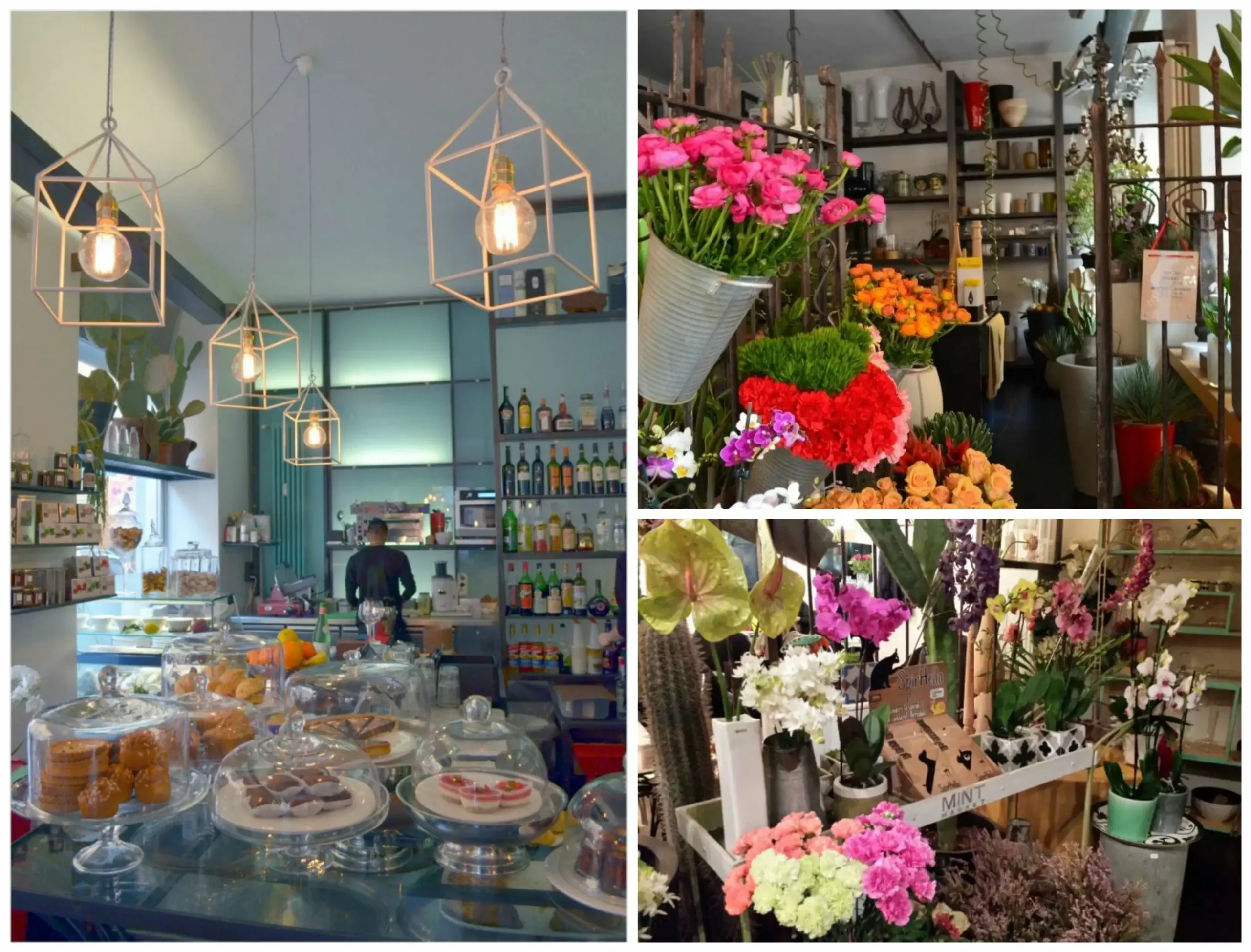 Un Bistrot Tra I Fiori: Dove Cucina e Natura Si Incontrano