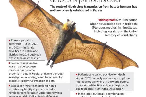 Il Virus Nipah: Cos’è e Perché È Importante Conoscerlo