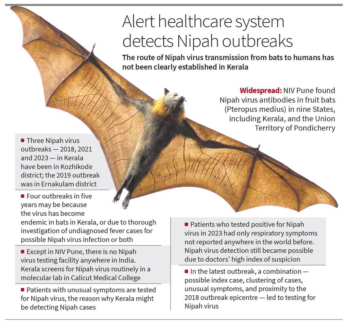 Il Virus Nipah: Cos’è e Perché È Importante Conoscerlo