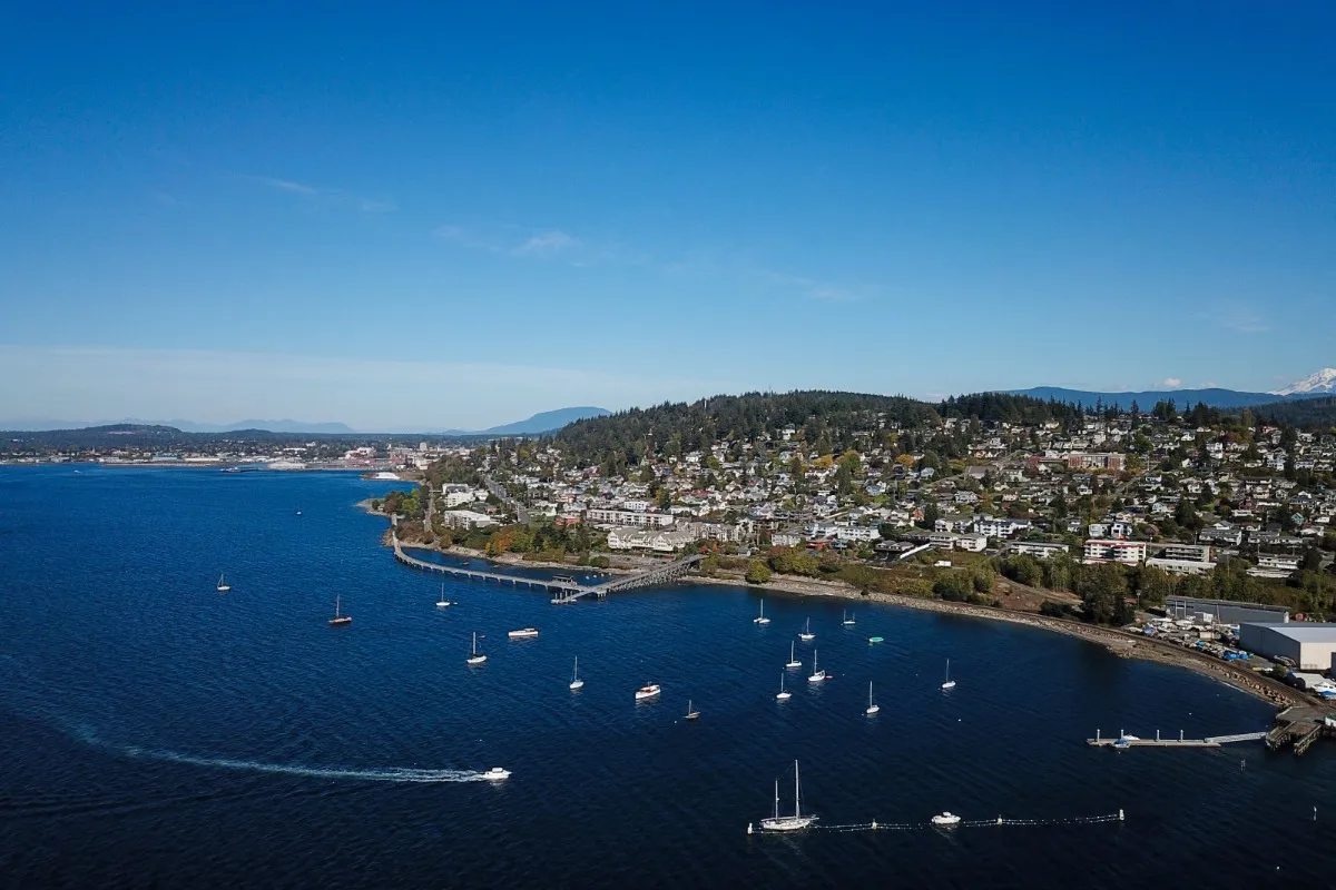 bellingham — IT news