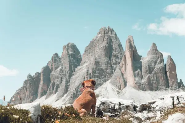 Esplorando Belluno: Storia e Attrazioni