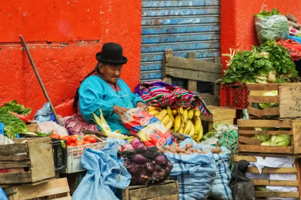 La Bolivia Oggi: Sfide e Sviluppi Recenti