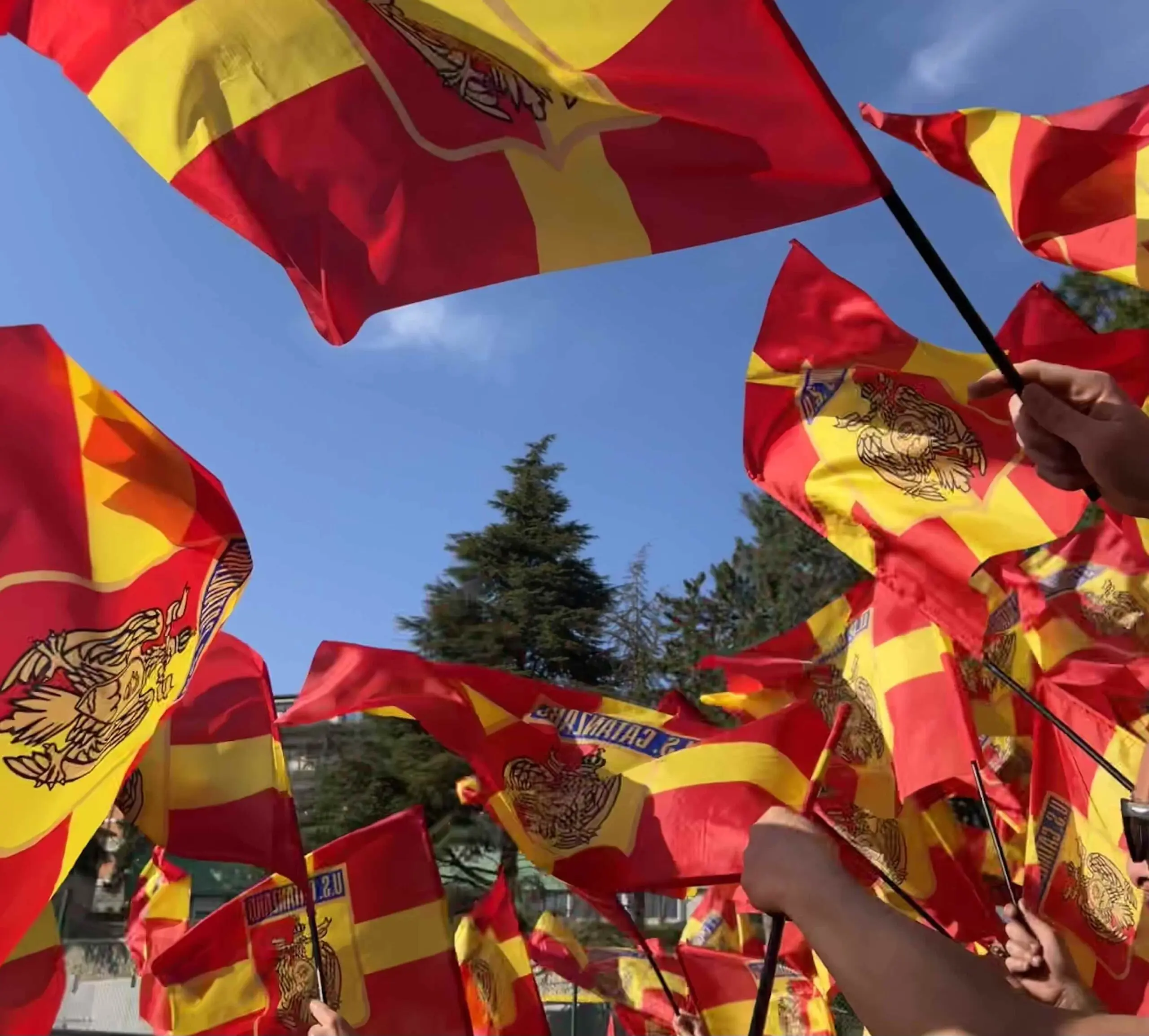 Catanzaro vs Reggiana: La Rivalità Calcistica che Appassiona