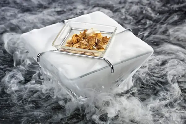 Ghiaccio Secco: Un Elemento Fondamentale nella Refrigerazione