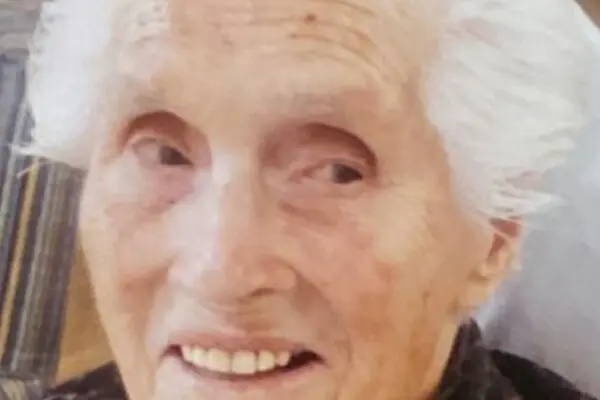Il contributo di Lida Viganoni al design italiano image 1