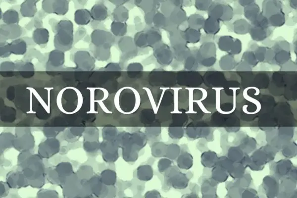 Norovirus: un virus in crescita e la sua prevenzione
