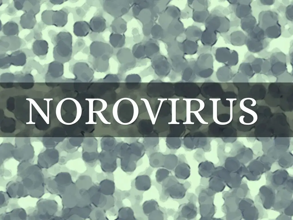 Norovirus: un virus in crescita e la sua prevenzione