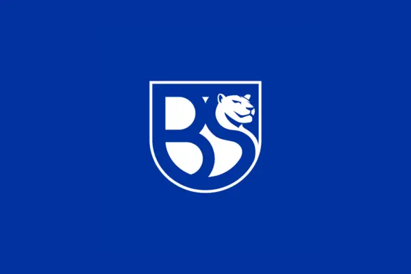 Union Brescia e Virtus Verona: Il Derby del Calcio
