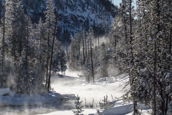 Esplorando Yellowstone: Il Primo Parco Nazionale al Mondo
