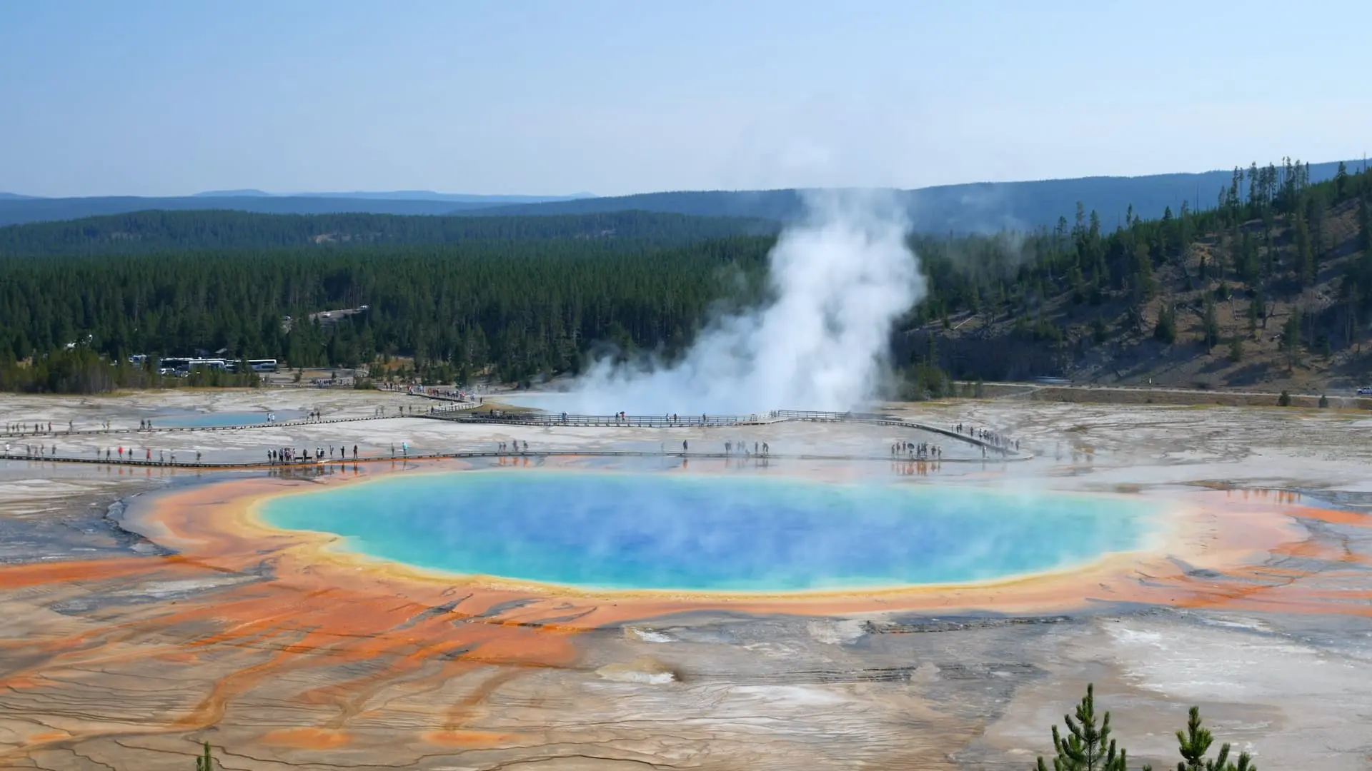 Esplorando il Parco Nazionale Yellowstone image 1