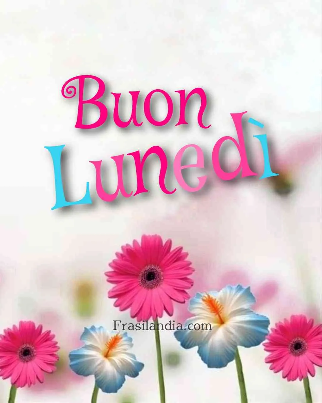 Buon lunedi 9 marzo