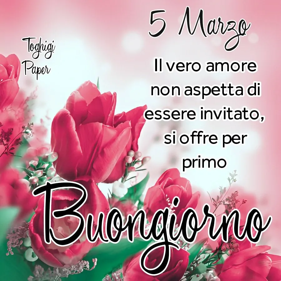 Buongiorno 25 marzo 2026: Qual è il buongiorno del 25 marzo 2026?