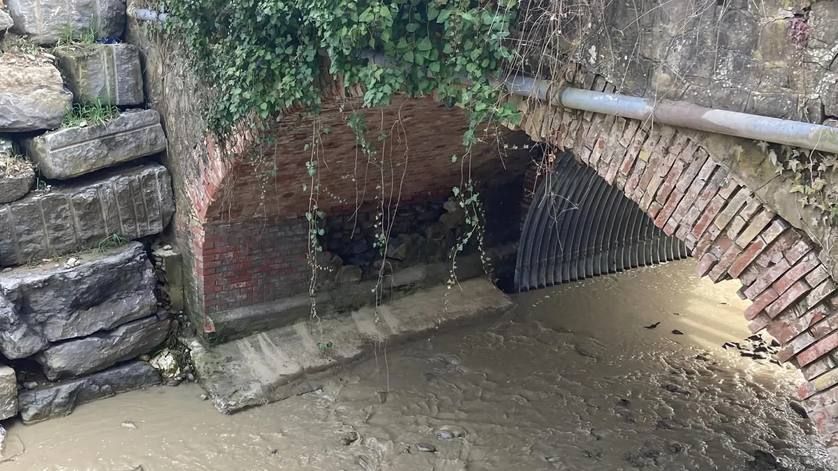 Del rio: Ponte di Botteghino: danni al ponte sul rio Laurenzano