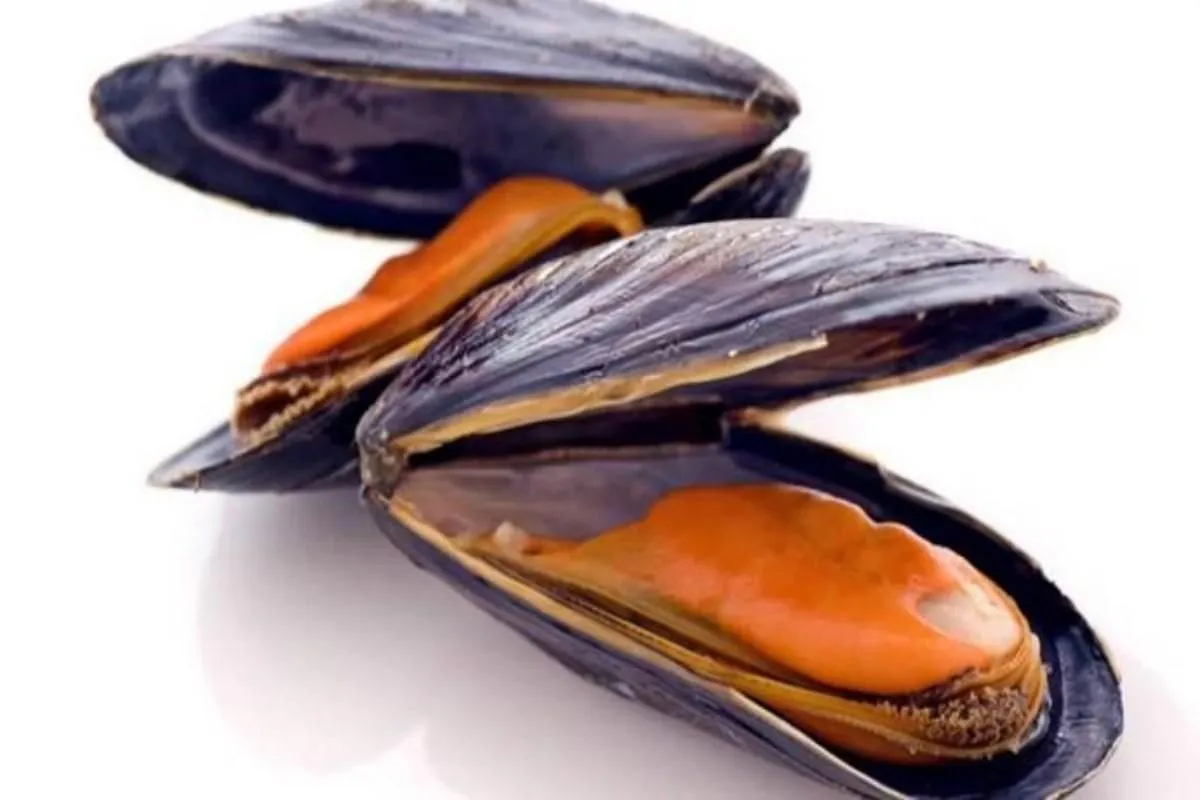 Epatite a cozze: Epatite A e cozze: quali sono i rischi a Napoli?