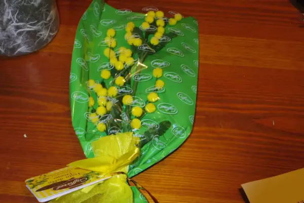 festa donna — IT news
