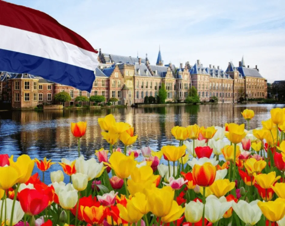 Olanda norvegia: Olanda vs Norvegia: chi avrà la meglio nella sfida pre-Mondiale?