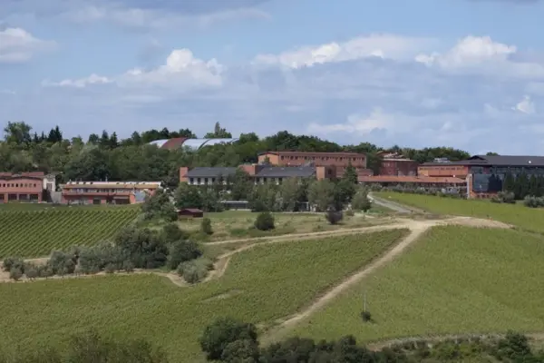 san patrignano — IT news