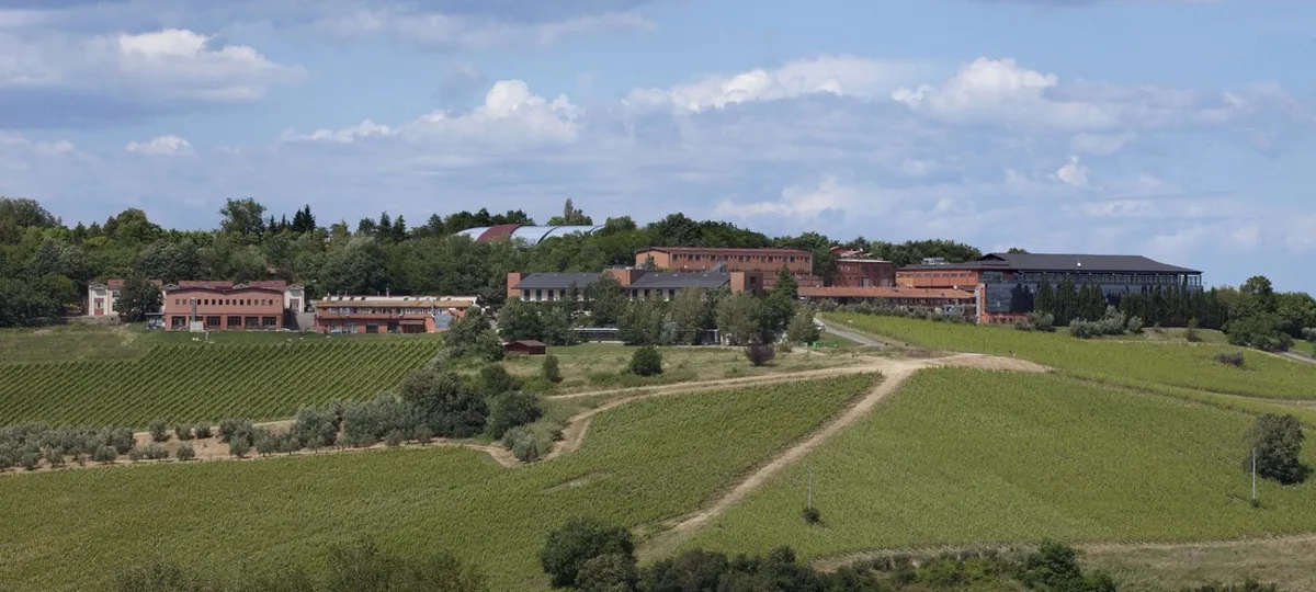 San patrignano