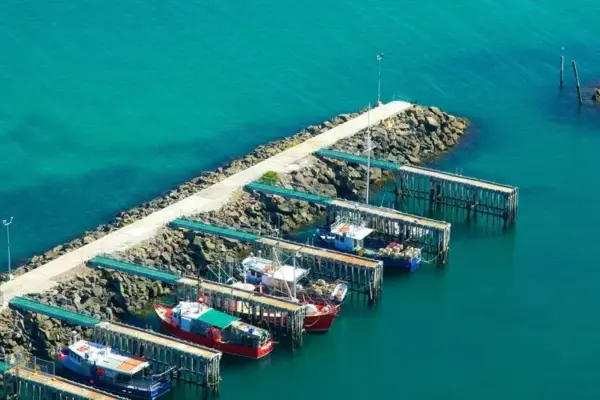 tasmania — IT news