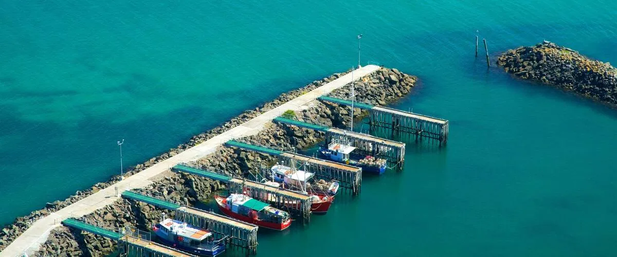 Tasmania: Qual è il mistero dietro The Kettering Incident in ?