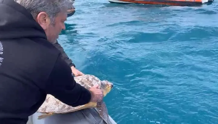 Trani: liberata la millesima tartaruga marina e vittoria per la Polisportiva