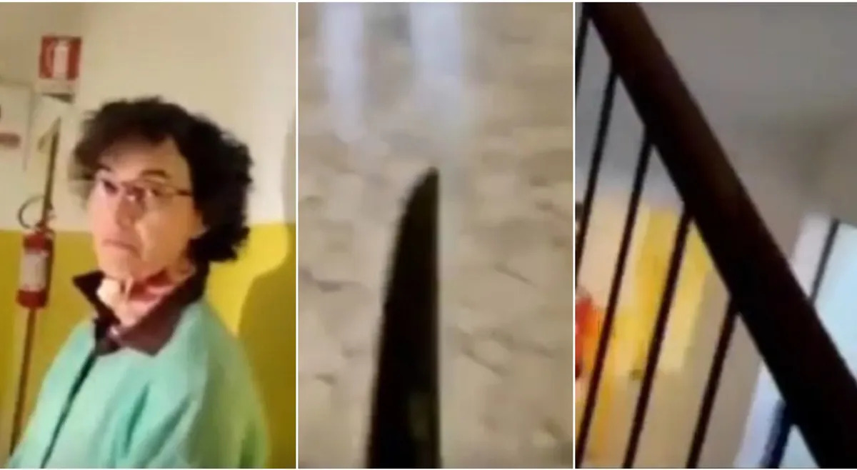 Video professoressa bergamo: Cosa è successo nel video della professoressa di Bergamo?