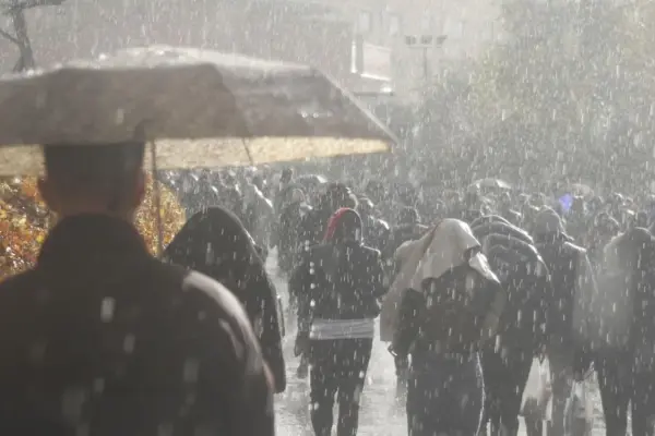 allerta meteo — IT news