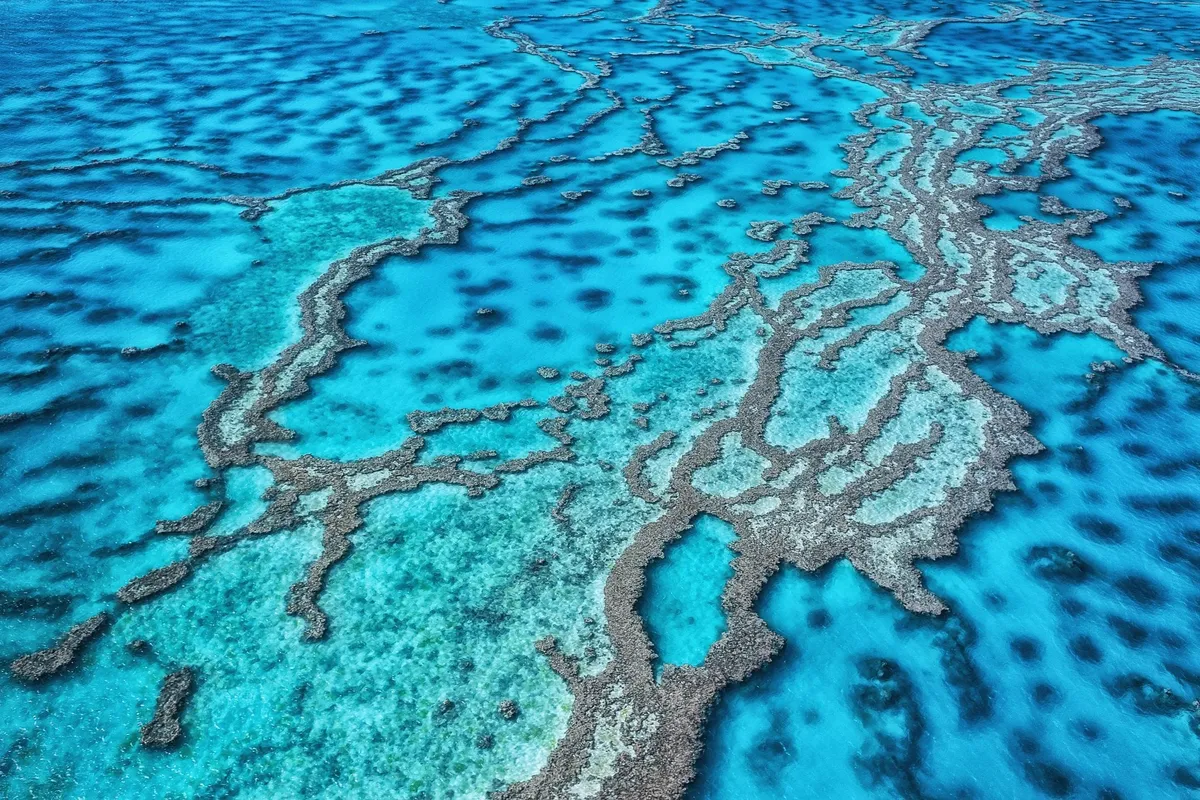 Barriera corallina: Qual è l’impatto della  a Rarotonga?