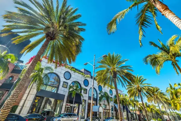 beverly hills — IT news