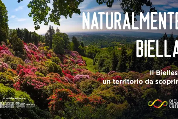 biella — IT news
