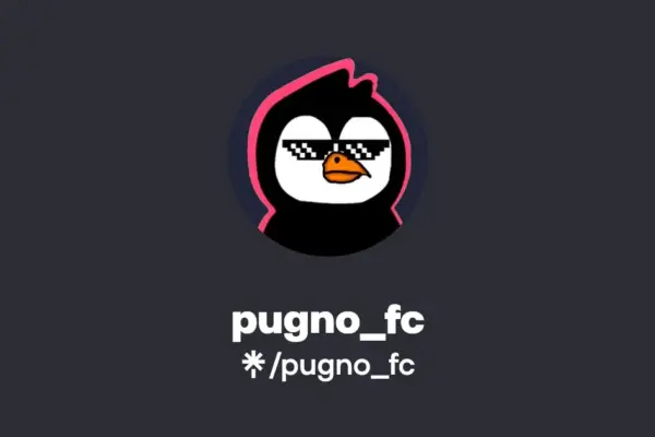 pugno — IT news
