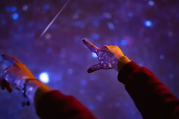 sciame meteorico liridi — IT news