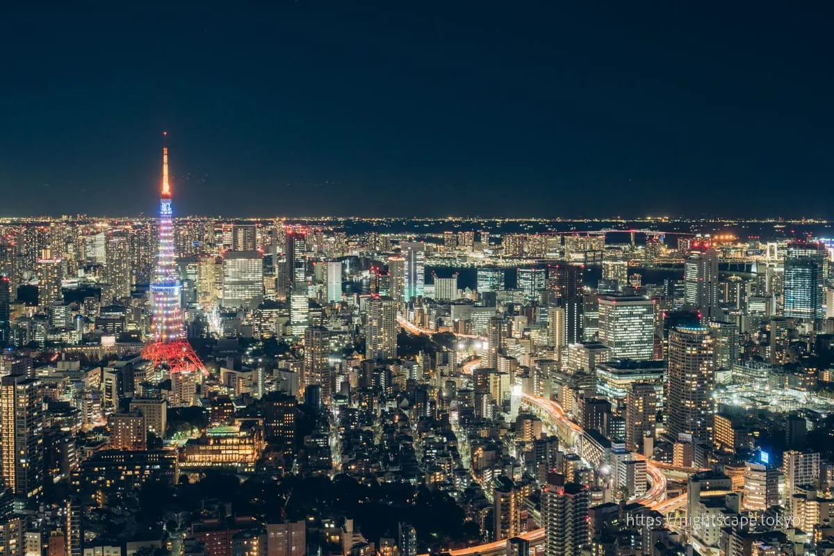 Tokyo: Quali sono i temi esplorati nella mostra di Benoît Piéron al Palais de  di Tokyo?