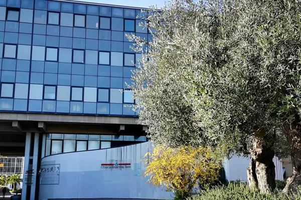 consiglio di stato — IT news