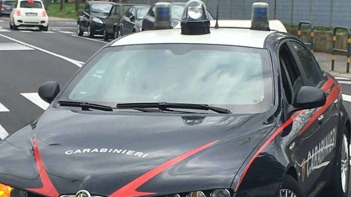 Denuncia di maltrattamenti in famiglia e assenza di autorizzazione per il servizio di sicurezza