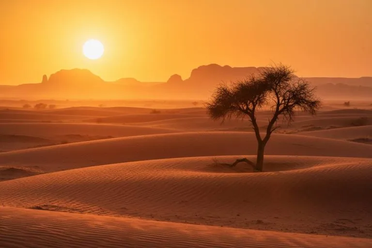 Previsioni meteo estate 2026: la stagione più calda di sempre?